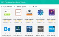 Плагин для Инфобизнеса WordPress Inovado – Гибкая бизнес тема для WP
